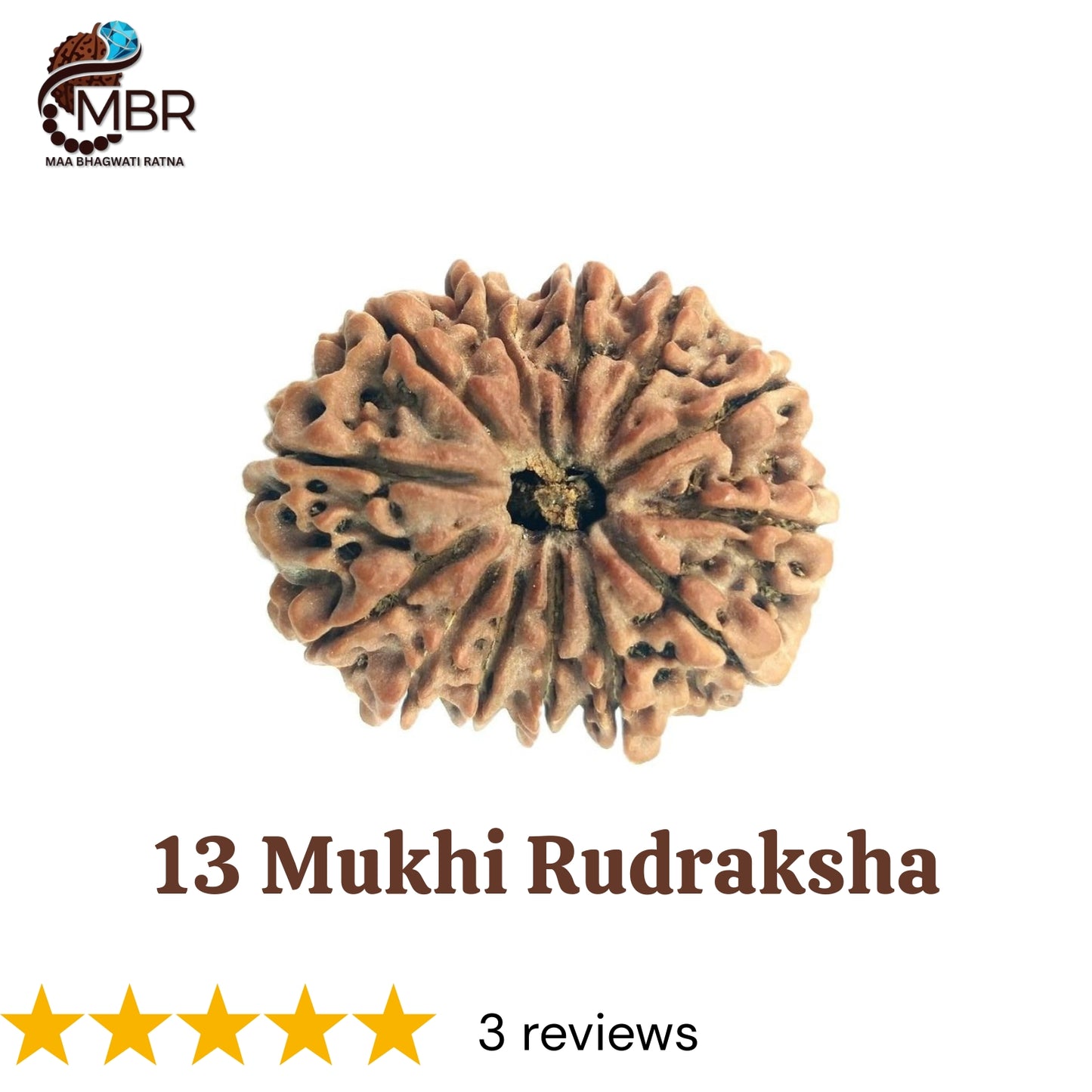 13 MUKHI RUDRAKSH