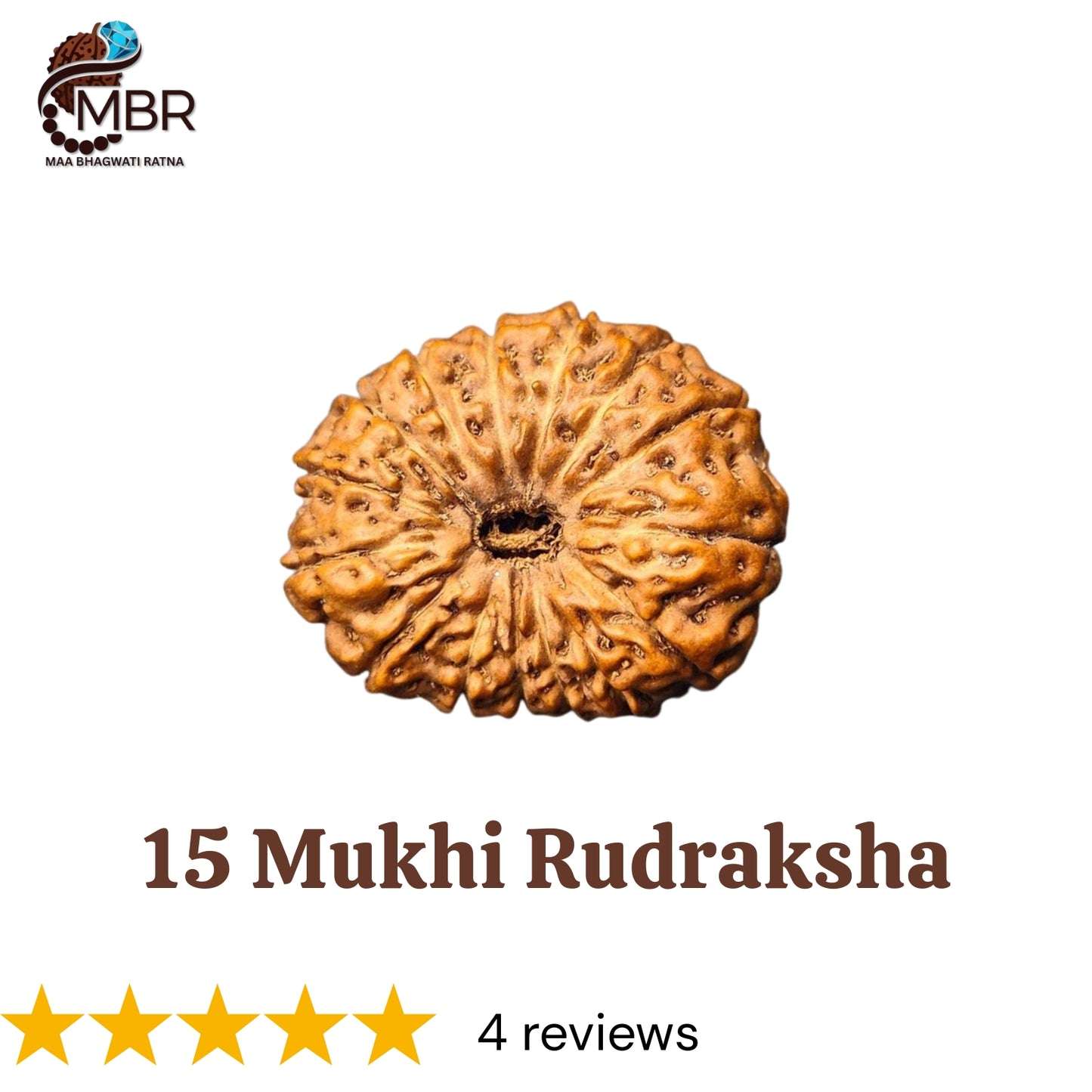 15 MUKHI RUDRAKSH