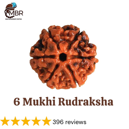 6 MUKHI RUDRAKSH NEPALI
