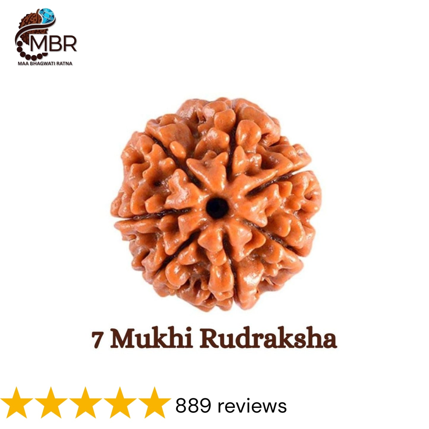 7 MUKHI RUDRAKSH NEPALI