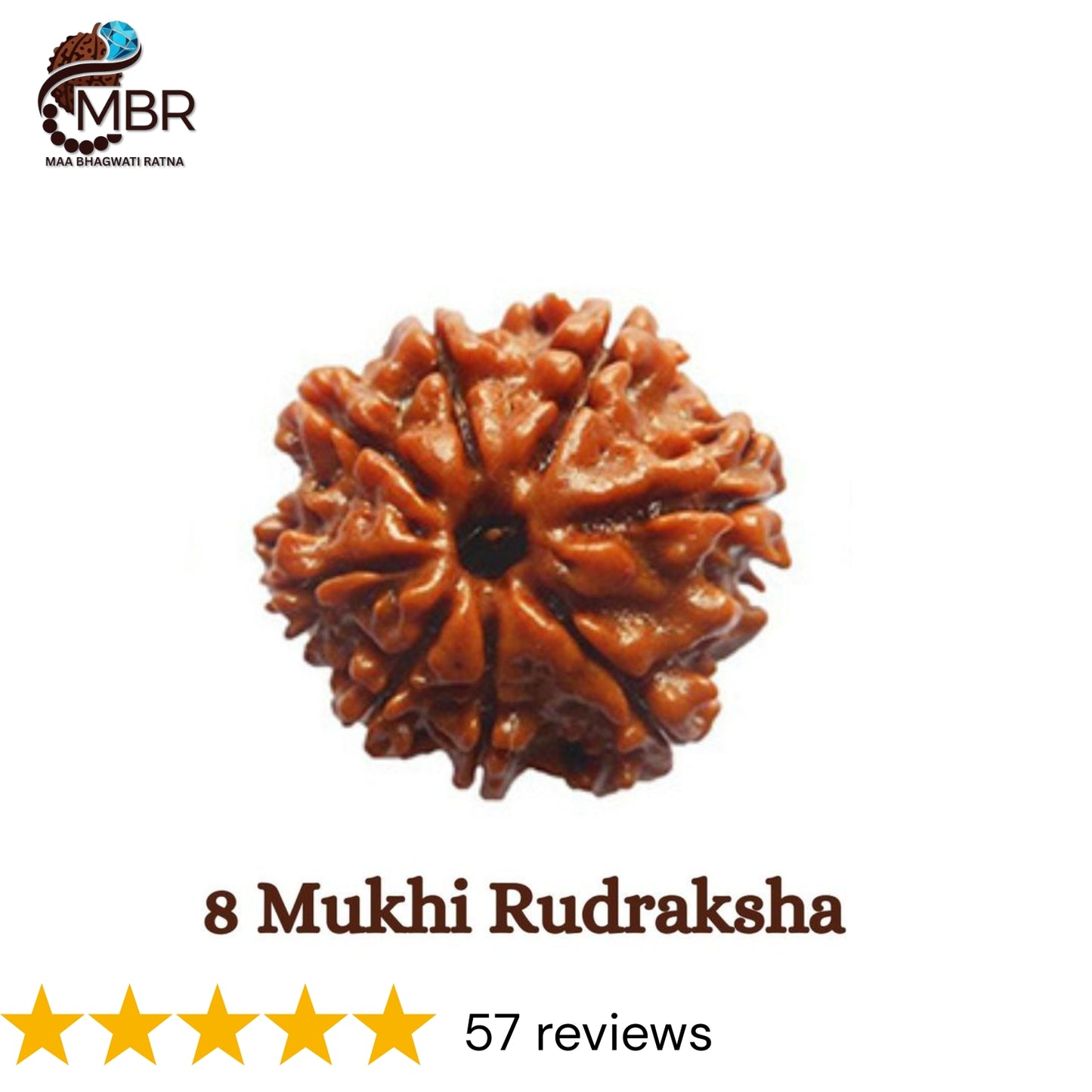 8 MUKHI RUDRAKSH NEPALI