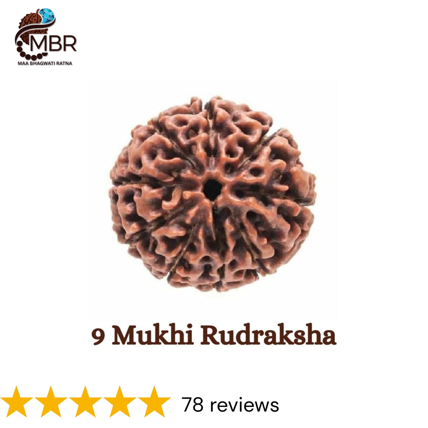 9 MUKHI RUDRAKSH