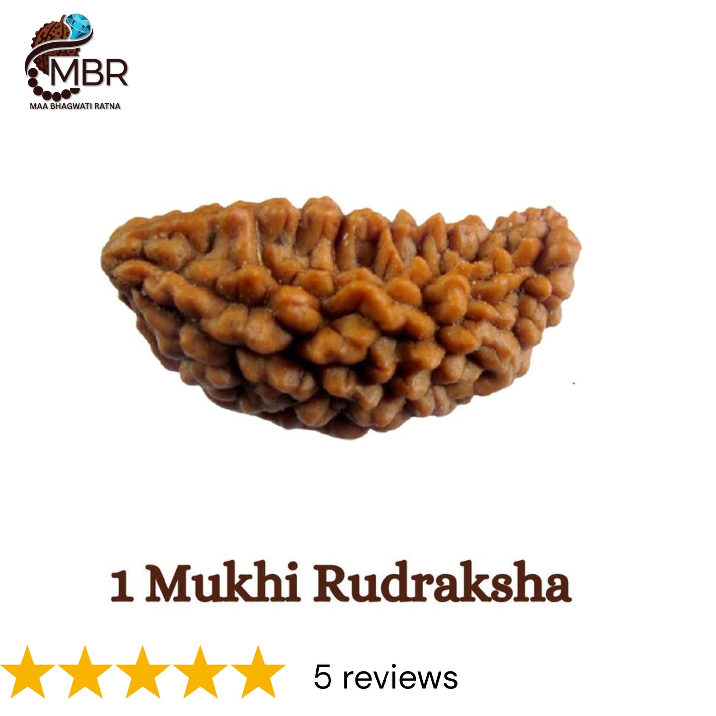 1 MUKHI KAJU RUDRAKSH - RAMESHWARAM BEAD