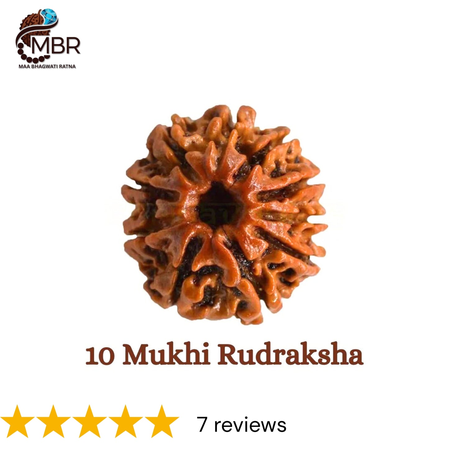 10 MUKHI RUDRAKSH