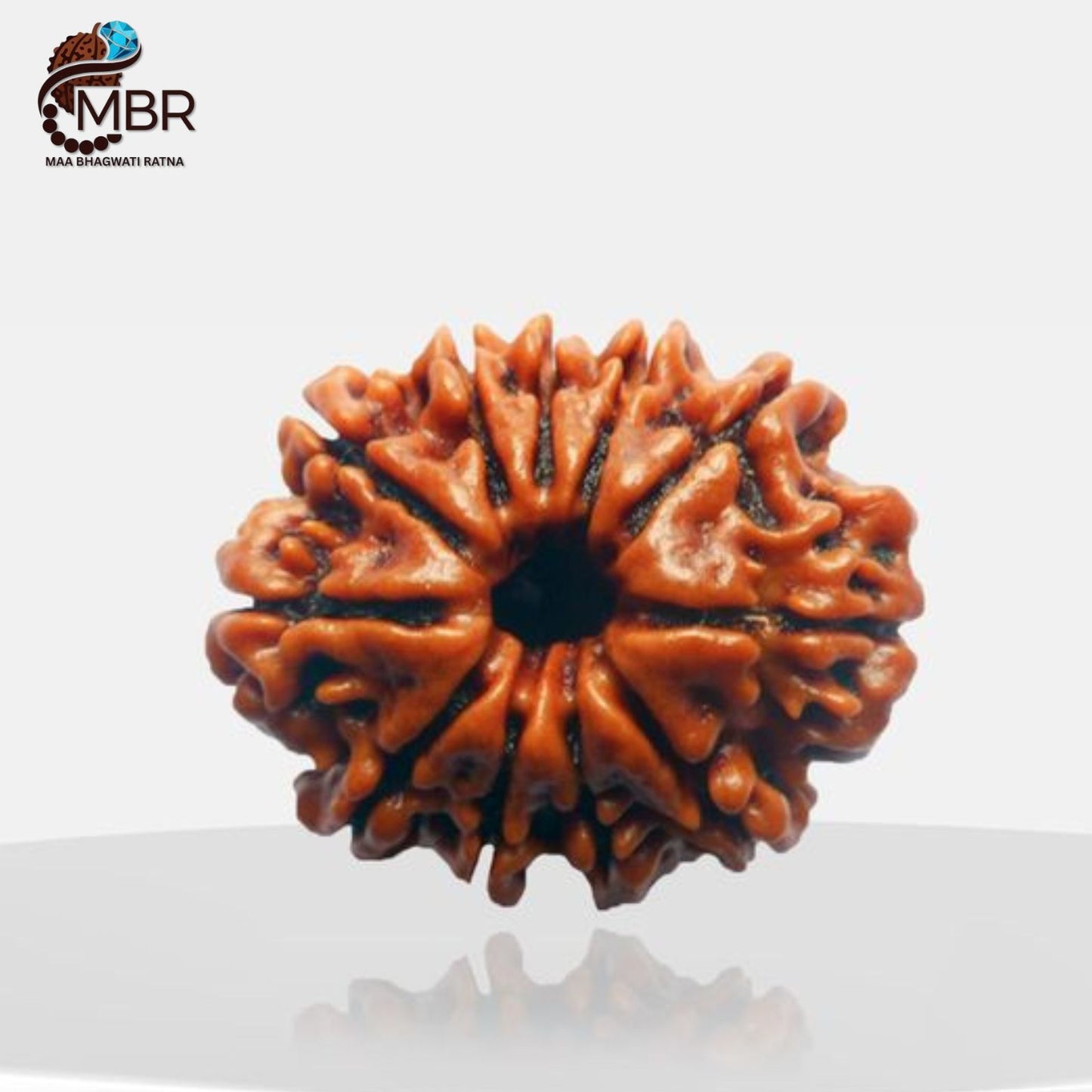 11 MUKHI RUDRAKSH