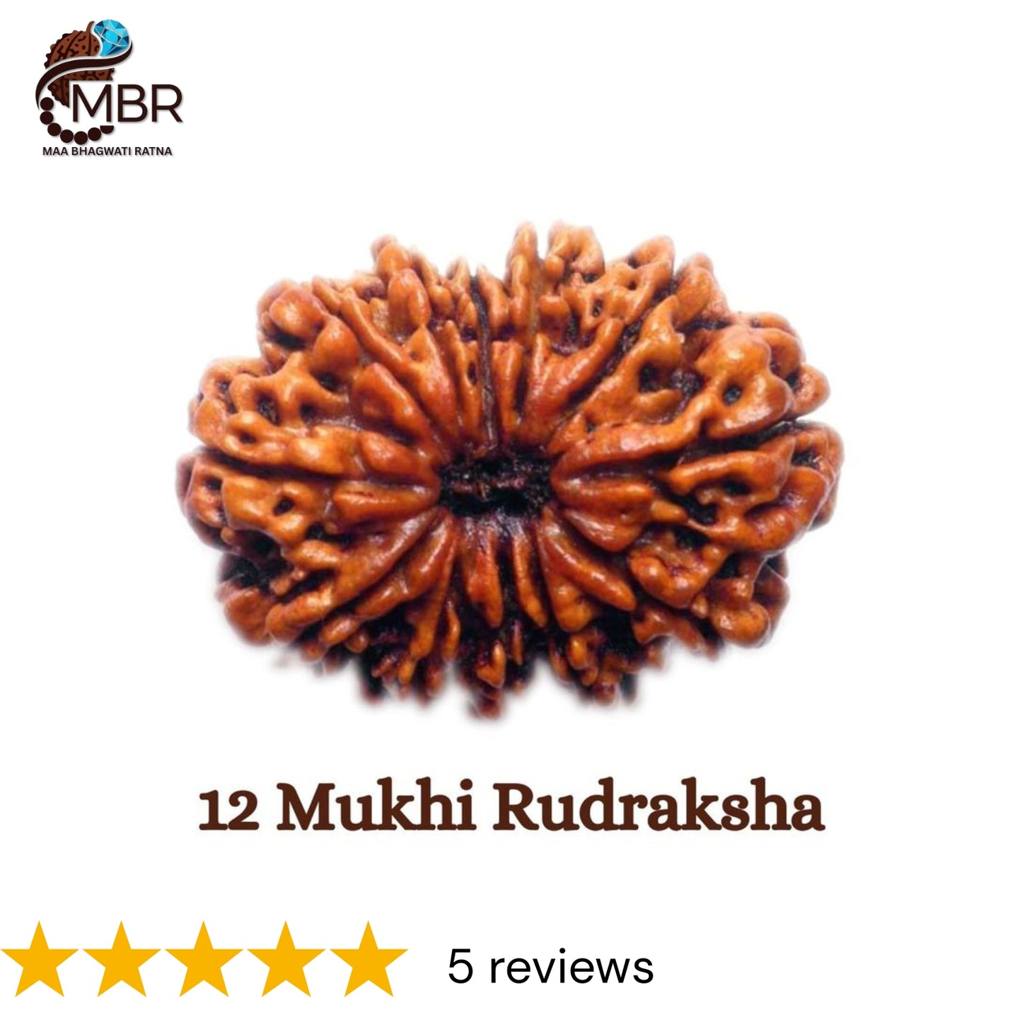 12 MUKHI RUDRAKSH
