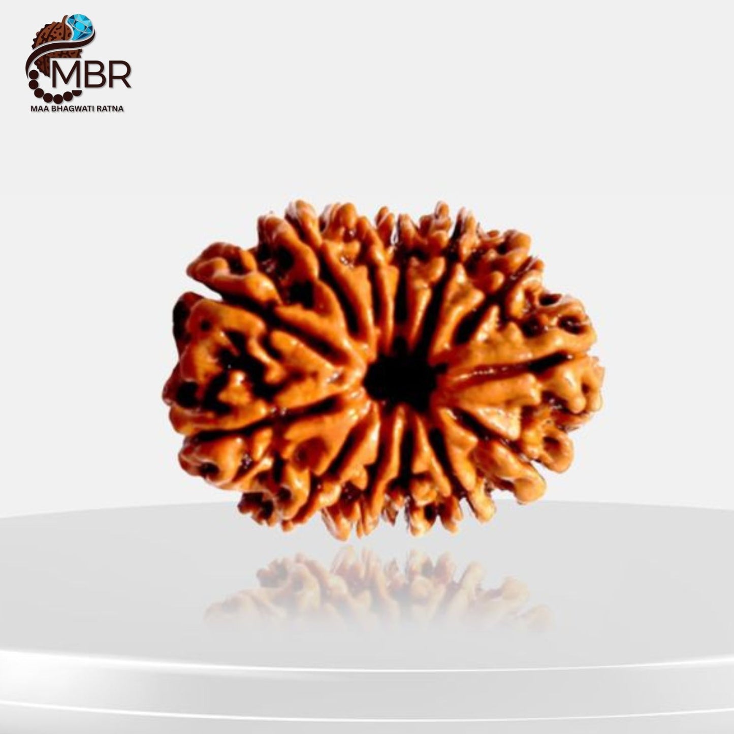13 MUKHI RUDRAKSH