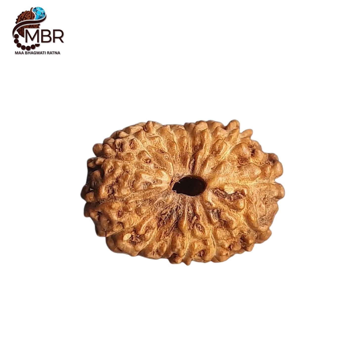 15 MUKHI RUDRAKSH