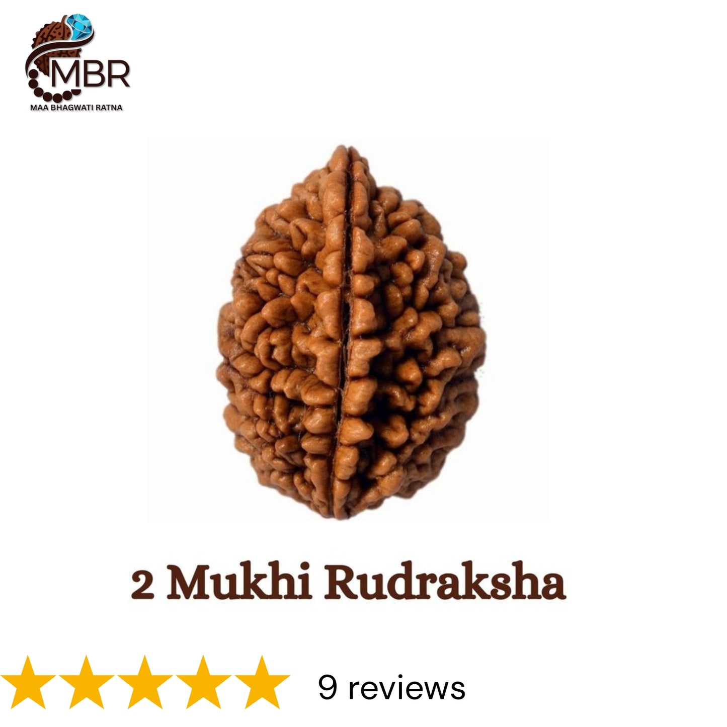2 MUKHI KAJU RUDRAKSHA NEPALI