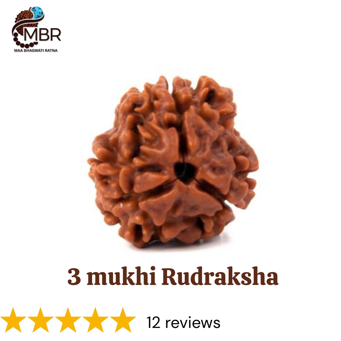 3 MUKHI RUDRAKSH NEPALI