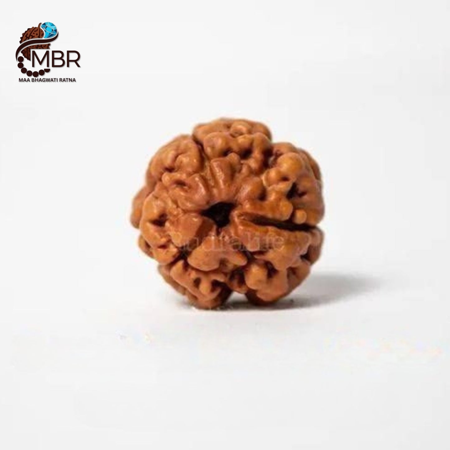 3 MUKHI RUDRAKSH NEPALI