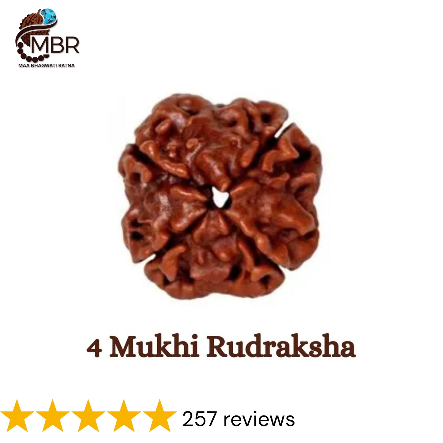 4 MUKHI RUDRAKSH NEPALI