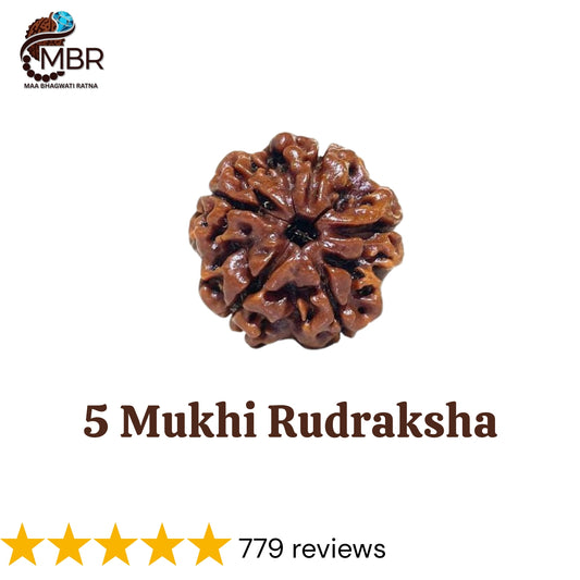 5 MUKHI RUDRAKSH NEPALI