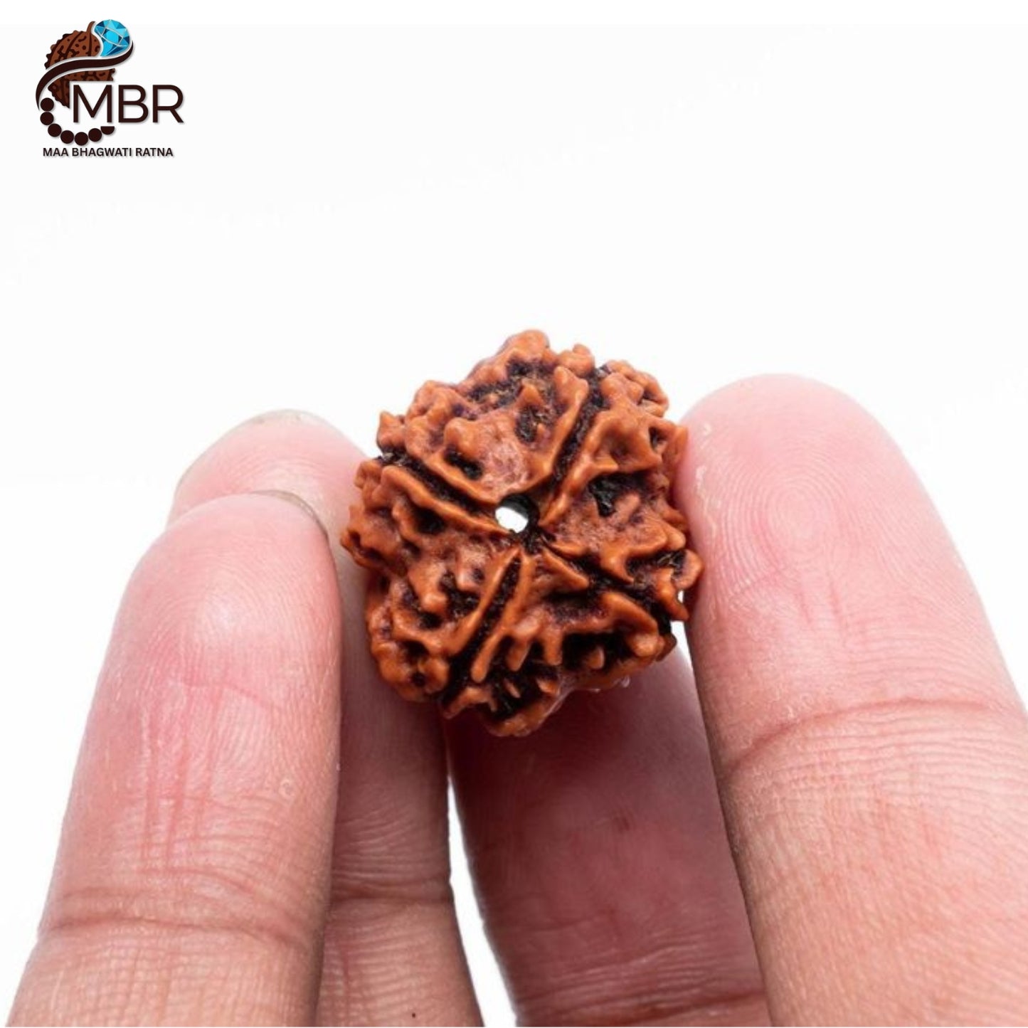 4 MUKHI RUDRAKSH NEPALI